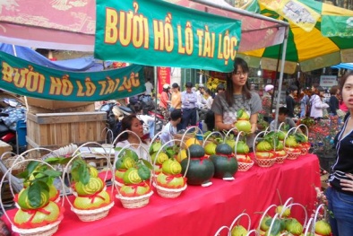 Thực phẩm tết nhiều mặt hàng độc, lạ